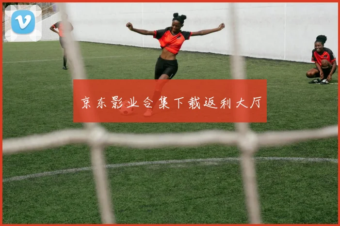 京东影业合集下载返利大厅