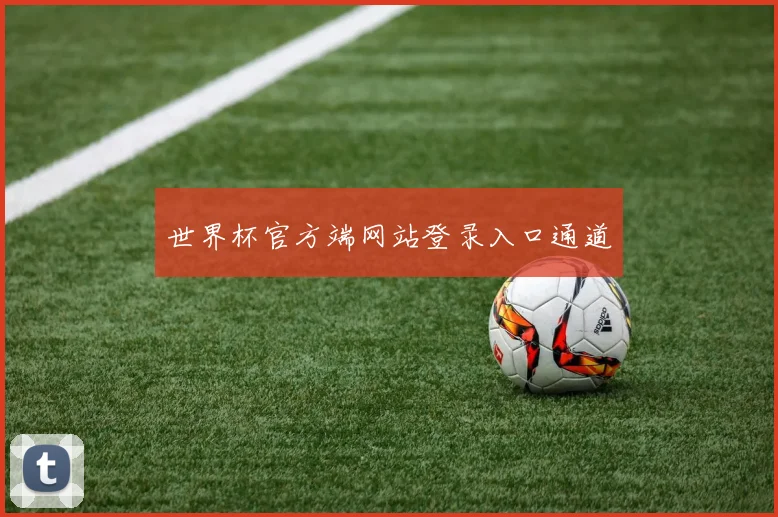 世界杯官方端网站登录入口通道