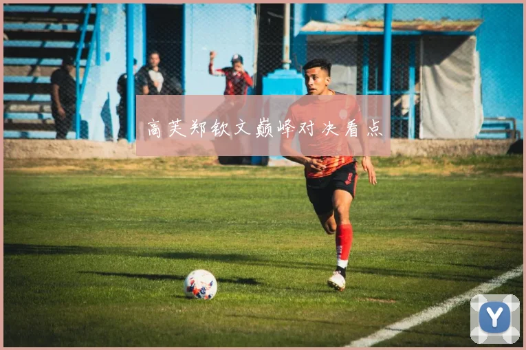 高芙郑钦文巅峰对决看点