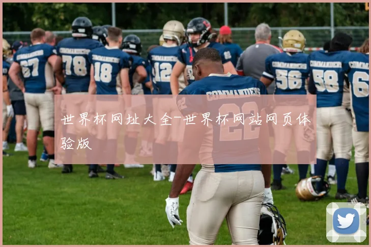 世界杯网址大全-世界杯网站网页体验版