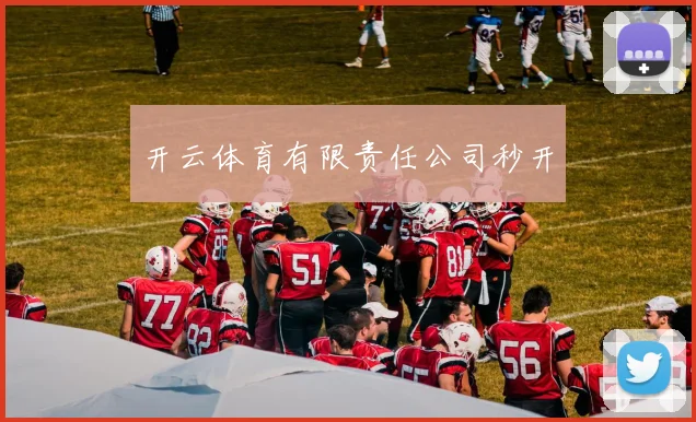 开云体育有限责任公司秒开