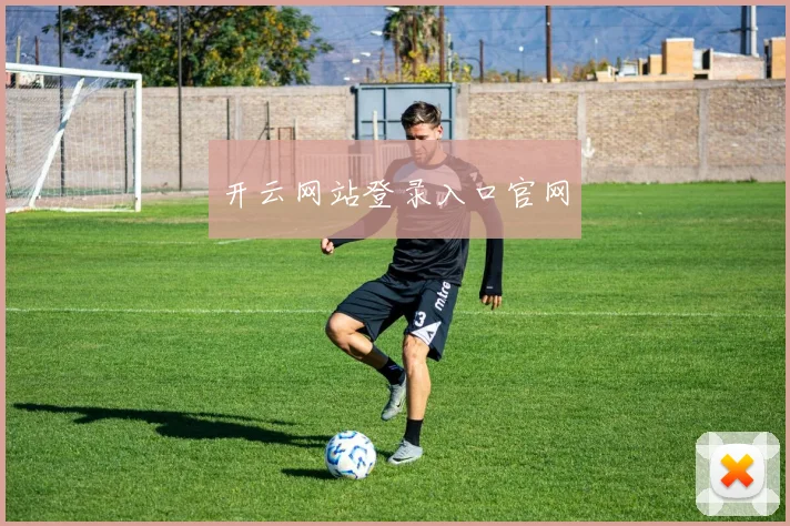 开云网站登录入口官网