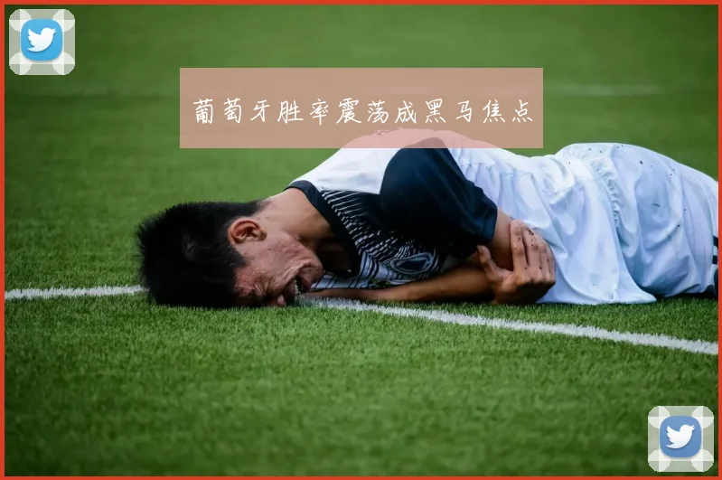 葡萄牙胜率震荡成黑马焦点
