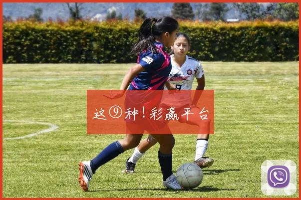 这⑨种!彩赢平台
