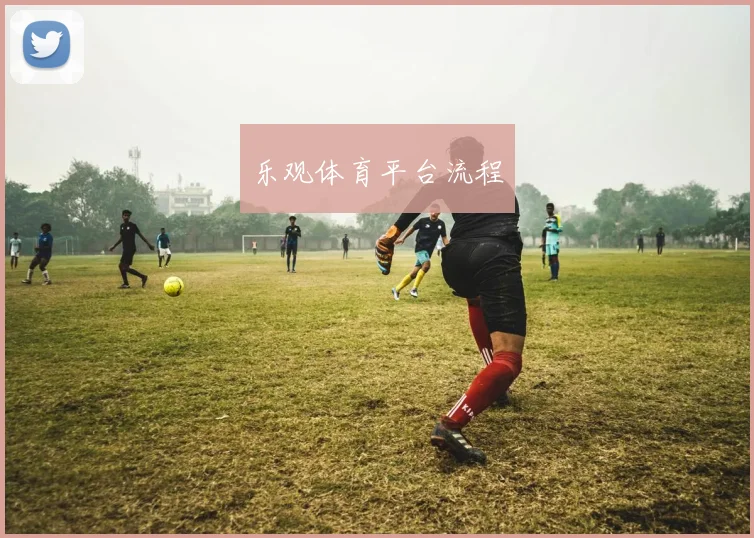 乐观体育平台流程