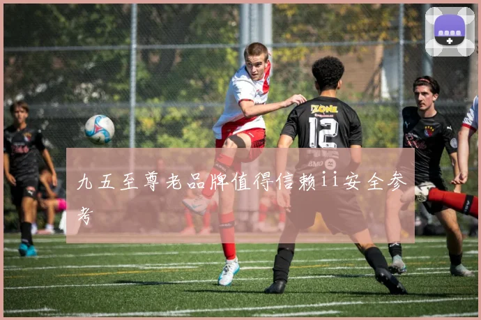 九五至尊老品牌值得信赖ii安全参考