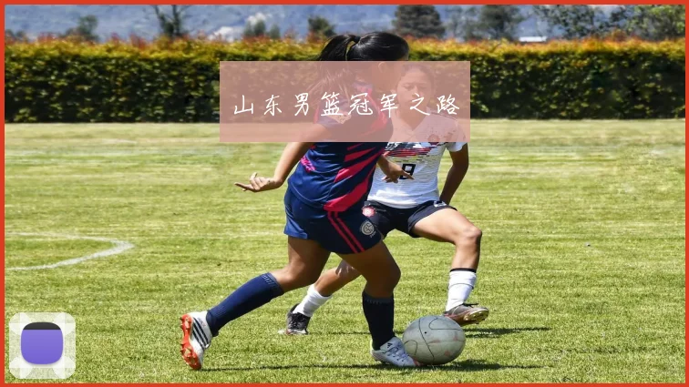 山东男篮冠军之路