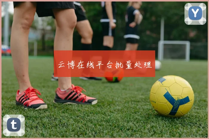 云博在线平台批量处理