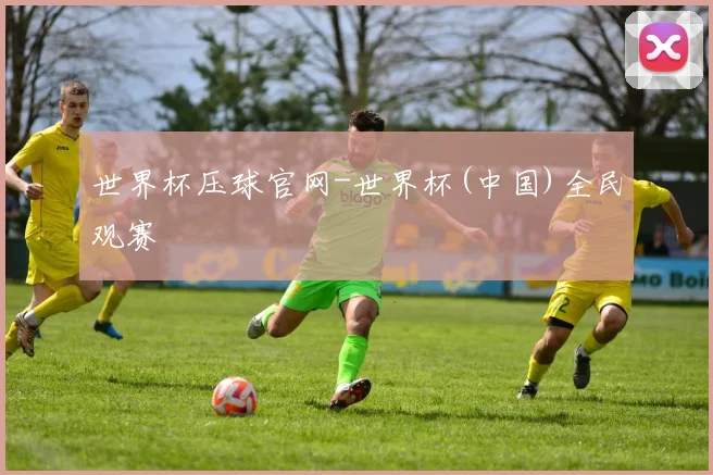 世界杯压球官网-世界杯(中国)全民观赛