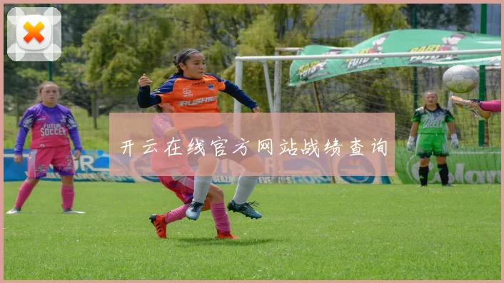 开云在线官方网站战绩查询