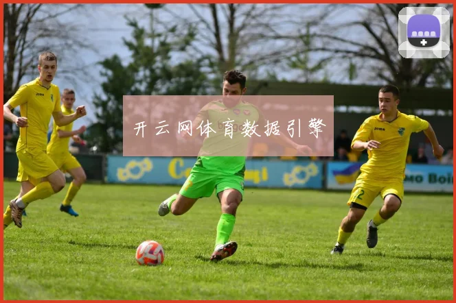 开云网体育数据引擎