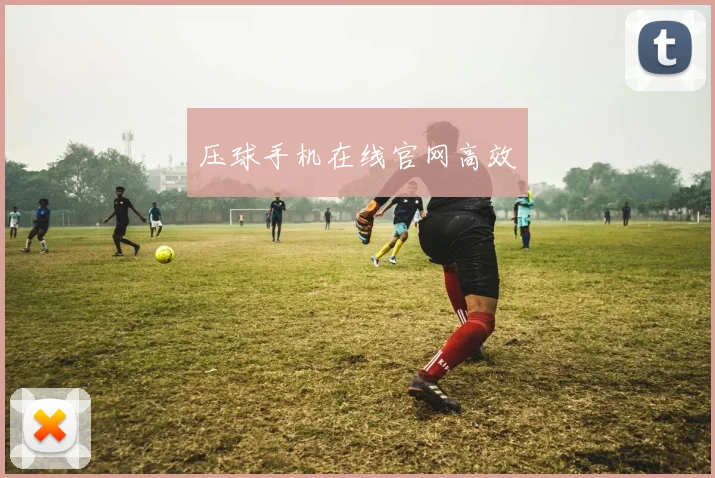 压球手机在线官网高效