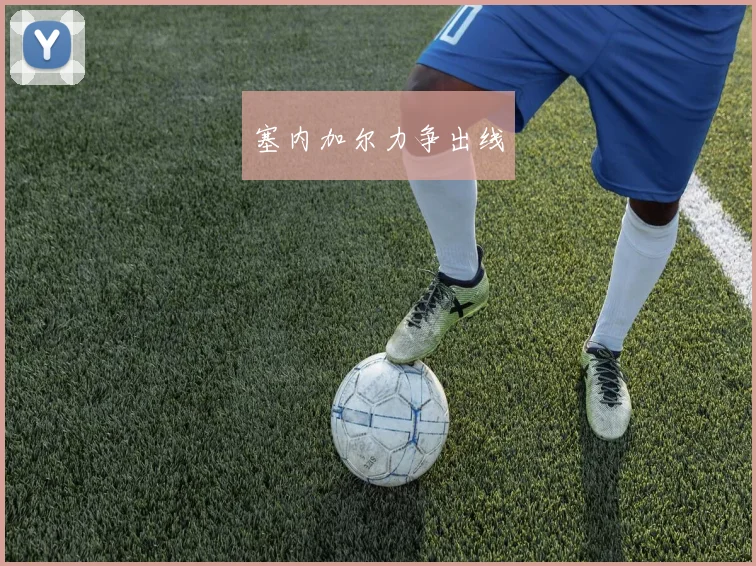塞内加尔力争出线