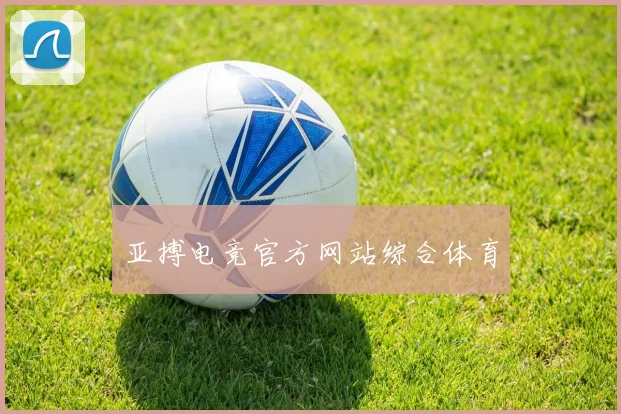 亚搏电竞官方网站综合体育