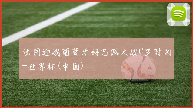 法国迎战葡萄牙姆巴佩大战C罗时刻-世界杯(中国)