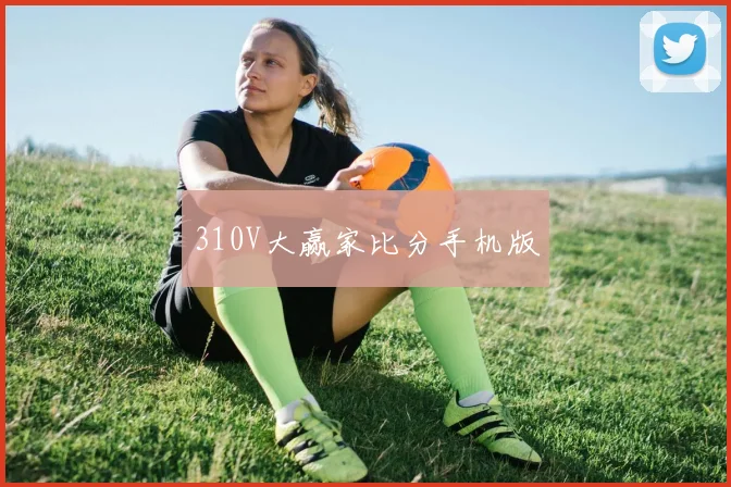 310V大赢家比分手机版
