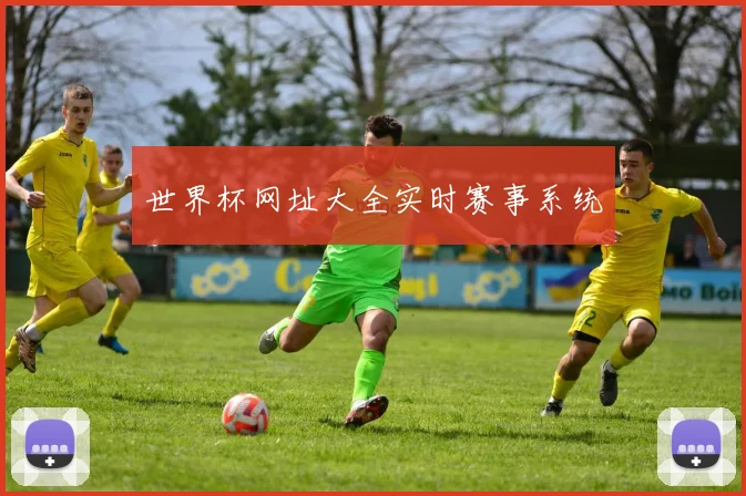 世界杯网址大全实时赛事系统