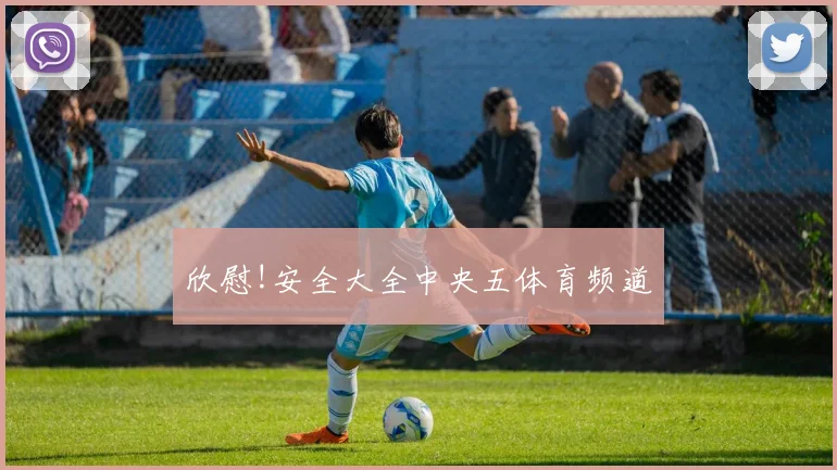 欣慰!安全大全中央五体育频道