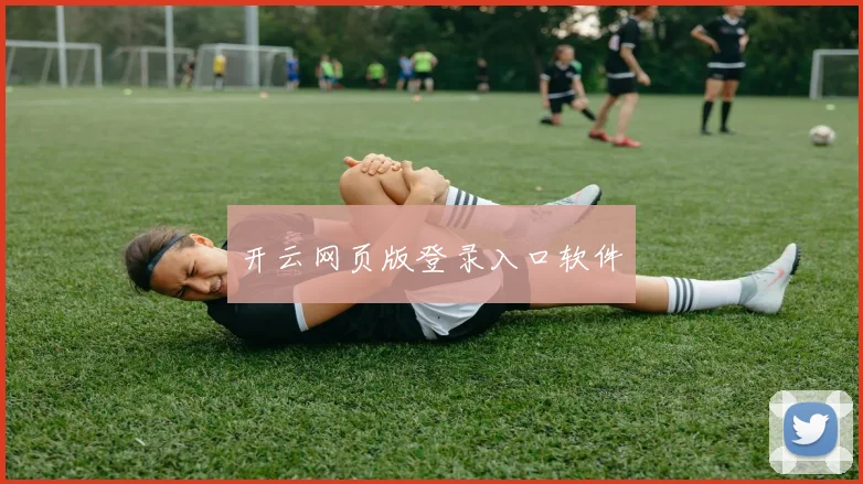 开云网页版登录入口软件
