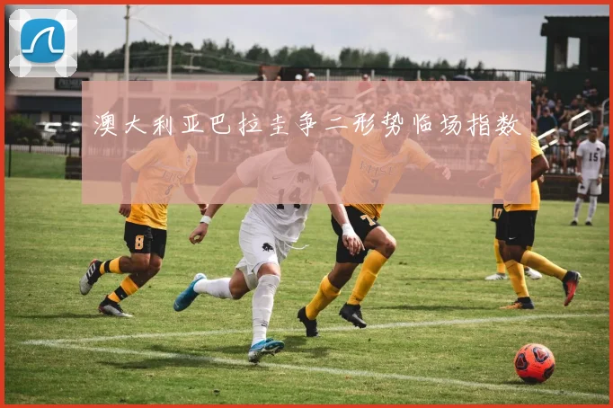 澳大利亚巴拉圭争二形势临场指数