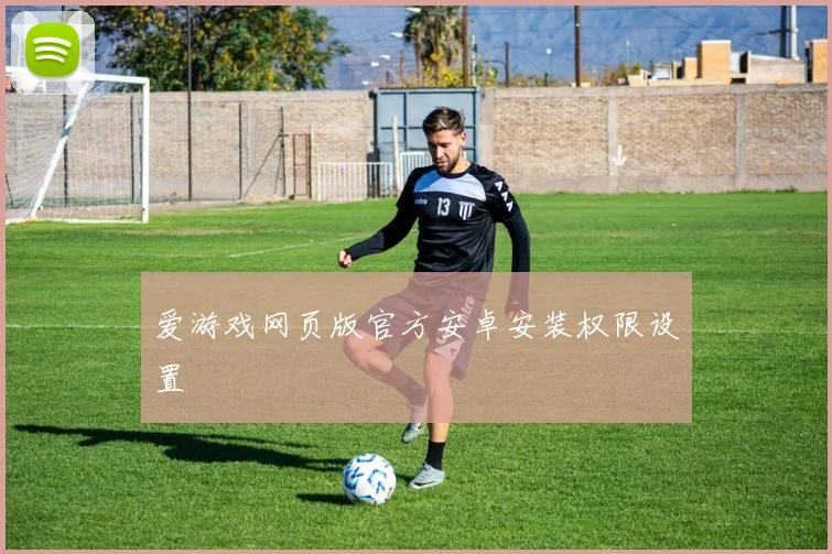 爱游戏网页版官方安卓安装权限设置