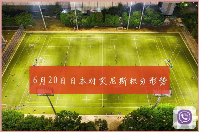6月20日日本对突尼斯积分形势