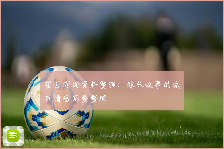 霍芬海姆资料整理：球队故事的城市情感完整整理