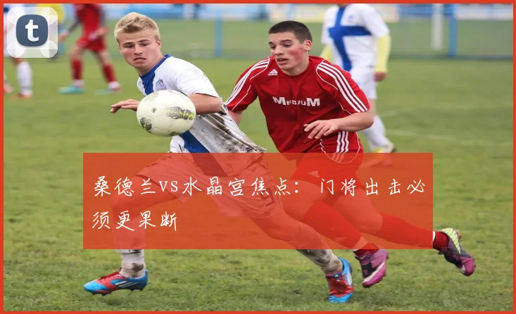 桑德兰vs水晶宫焦点:门将出击必须更果断