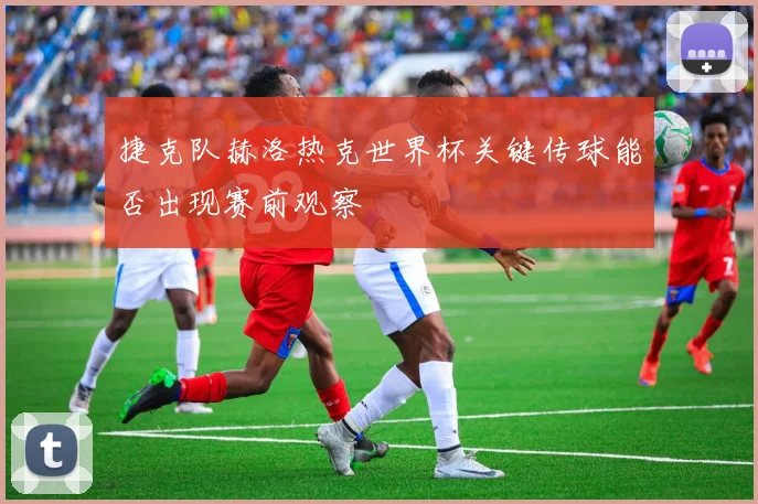 捷克队赫洛热克世界杯关键传球能否出现赛前观察